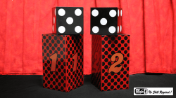 (image for) Passe Passe Dice by Mr. Magic - Trick