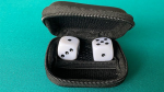 LS Dice by Leo Smetsers - Trick (image for) LS Dice by Leo Smetsers - Trick